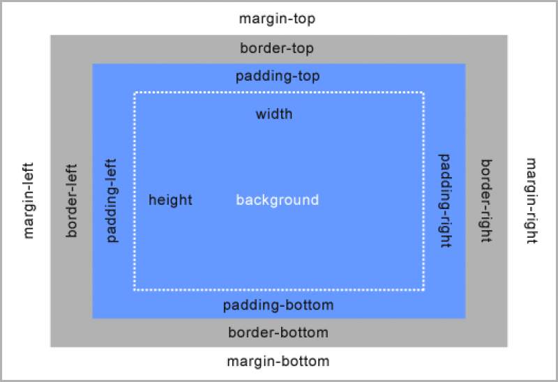 Pengaturan halaman web pada elemen padding, margin, dan background color
